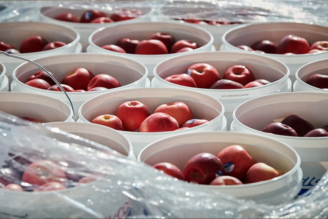 Mainfreight Apples - Engagement in the workplace - Supply Chain