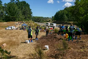 Mulching Project in Taupo